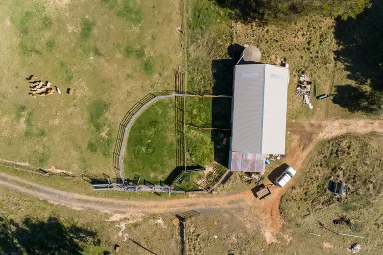 Fifth view of Homely rural property listing, 993 Gallymont Road, Mandurama NSW 2792