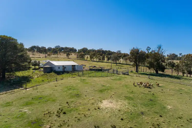 Seventh view of Homely rural property listing, 993 Gallymont Road, Mandurama NSW 2792