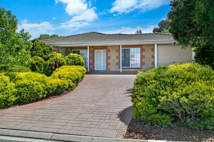 Main view of Homely house listing, 109 Carruthers Drive, Modbury North SA 5092