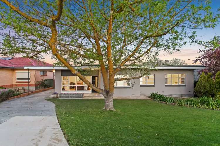 13 Netley Road, Mount Barker SA 5251