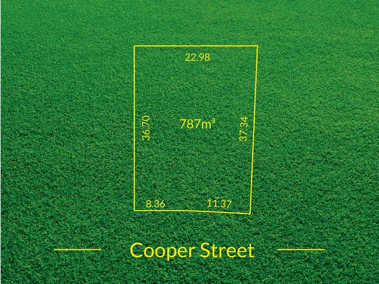 31 Cooper Street, Berri SA 5343