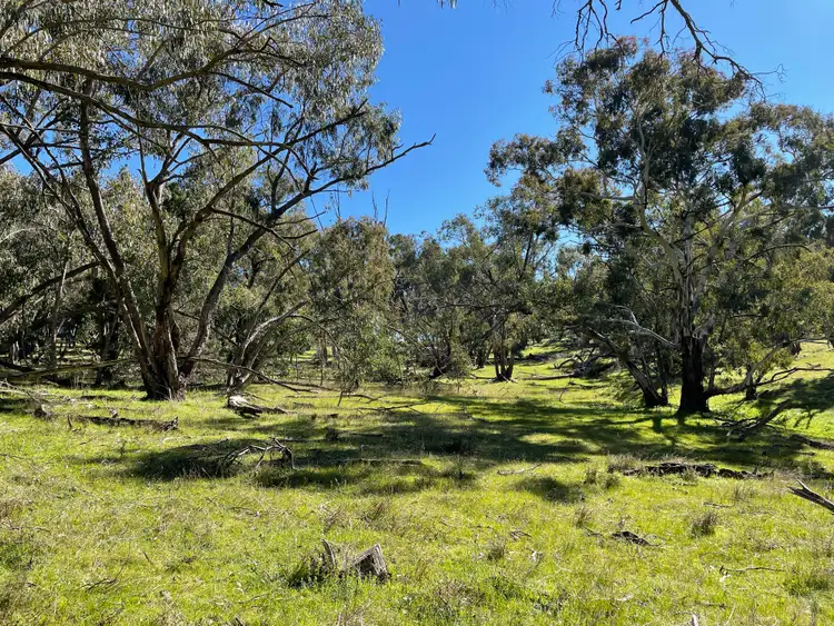 Seventh view of Homely rural property listing, 26 Cobb Drive, Woodstock NSW 2793
