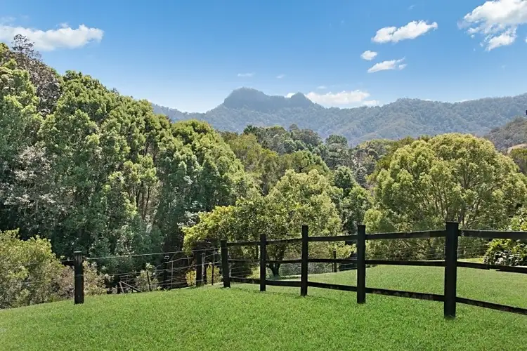 Second view of Homely rural property listing, 309 Upper Crystal Creek Road, Crystal Creek NSW 2484