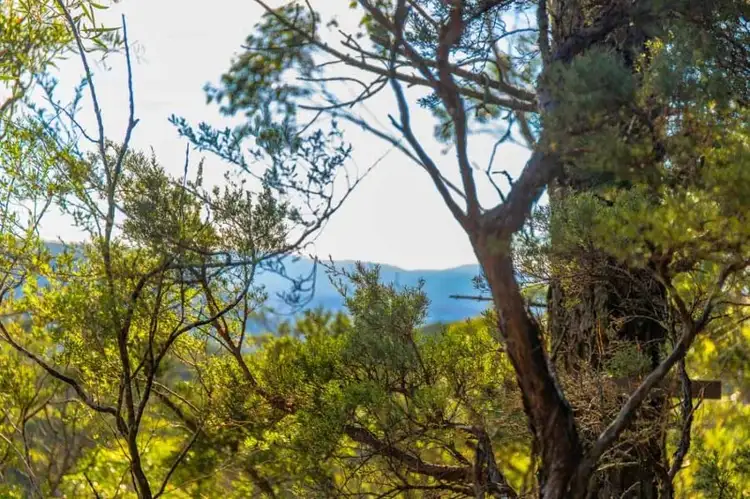 Sixth view of Homely land listing, Lot 3 Helvetia Rd (Access from Bundarra St), Blackheath NSW 2785