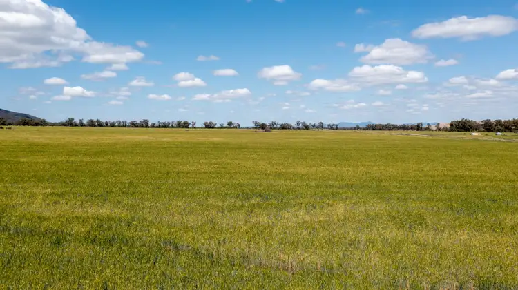 Sixth view of Homely rural property listing, 'Glenroc' 2484 Wean Road, Gunnedah NSW 2380
