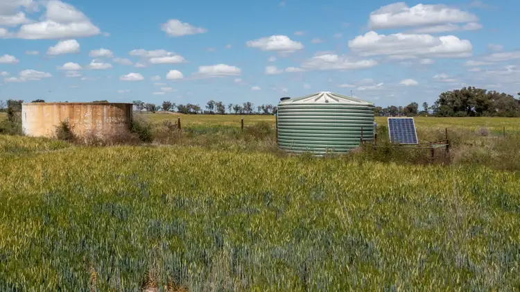 Seventh view of Homely rural property listing, 'Glenroc' 2484 Wean Road, Gunnedah NSW 2380