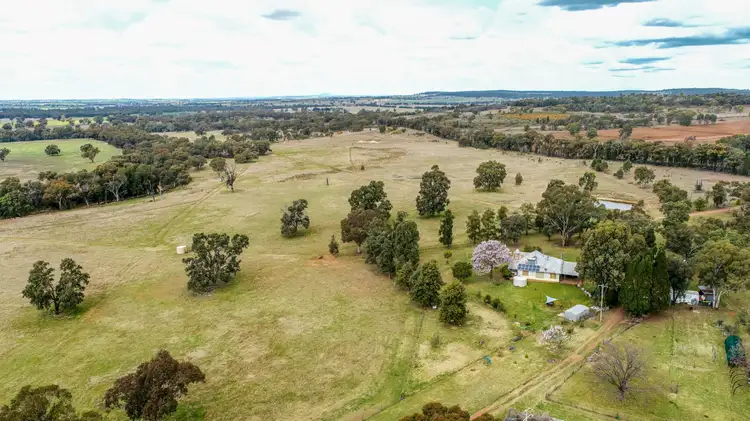 Main view of Homely rural property listing, 99R Goan Creek Road, Ballimore NSW 2830
