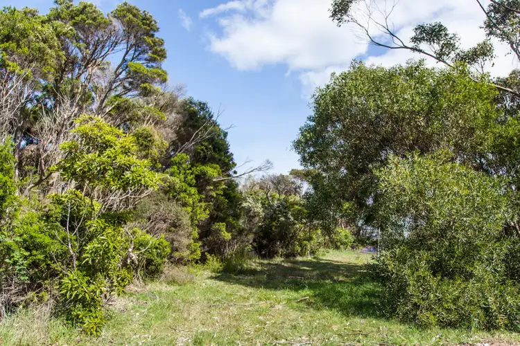 65 Grevillia Street, Walkerville VIC 3956