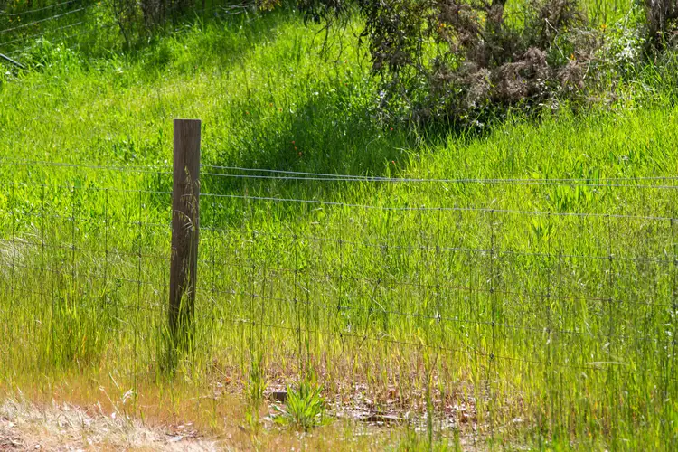 Sixth view of Homely land listing, 1 Warenda Road, Clare SA 5453