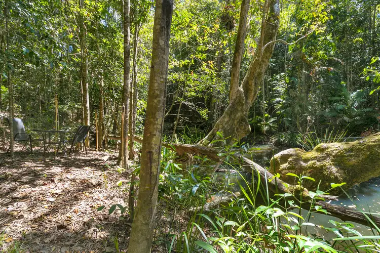 Main view of Homely house listing, 271 Oak Forest Road, Kuranda QLD 4881