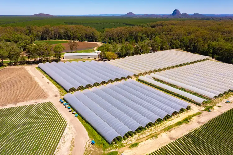 384 Mawsons Road, Beerwah QLD 4519