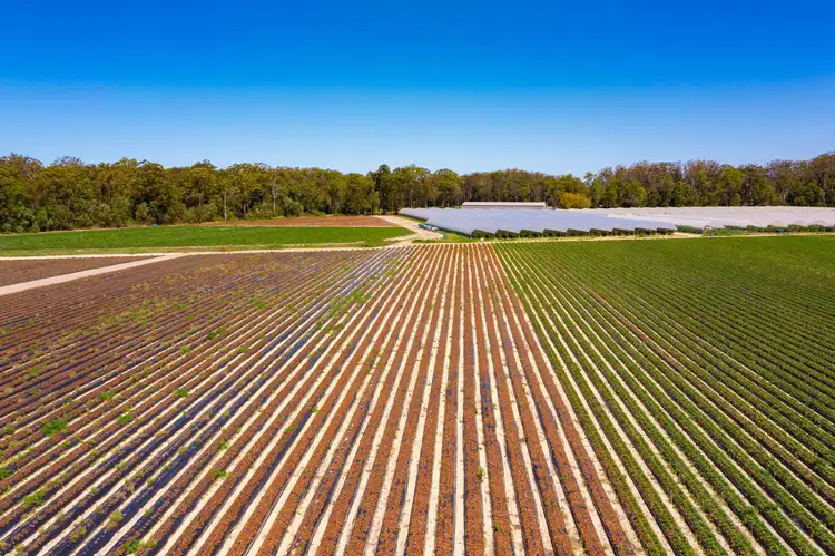 Second view of Homely rural property listing, 384 Mawsons Road, Beerwah QLD 4519