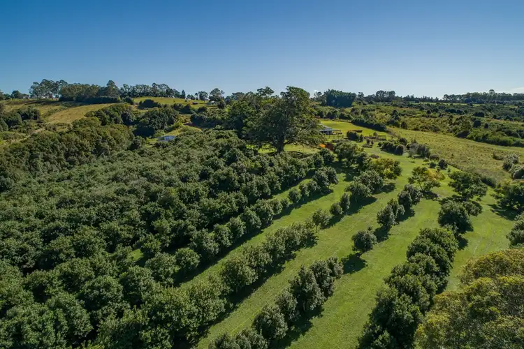 Second view of Homely rural property listing, 48 Kirklands Lane, Nashua NSW 2479