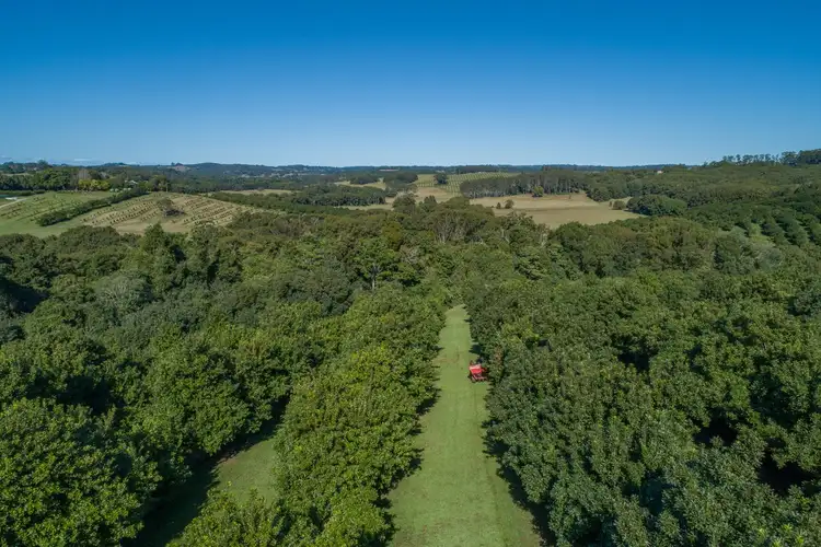 Third view of Homely rural property listing, 48 Kirklands Lane, Nashua NSW 2479
