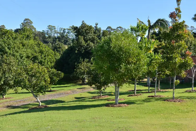 Fifth view of Homely rural property listing, 48 Kirklands Lane, Nashua NSW 2479