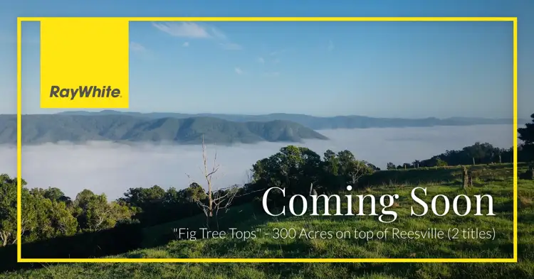 Lots 3 and 4 Doyle Road, Reesville QLD 4552