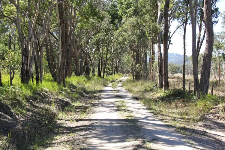 89 Primrose Hill, Sandy Flat NSW 2372