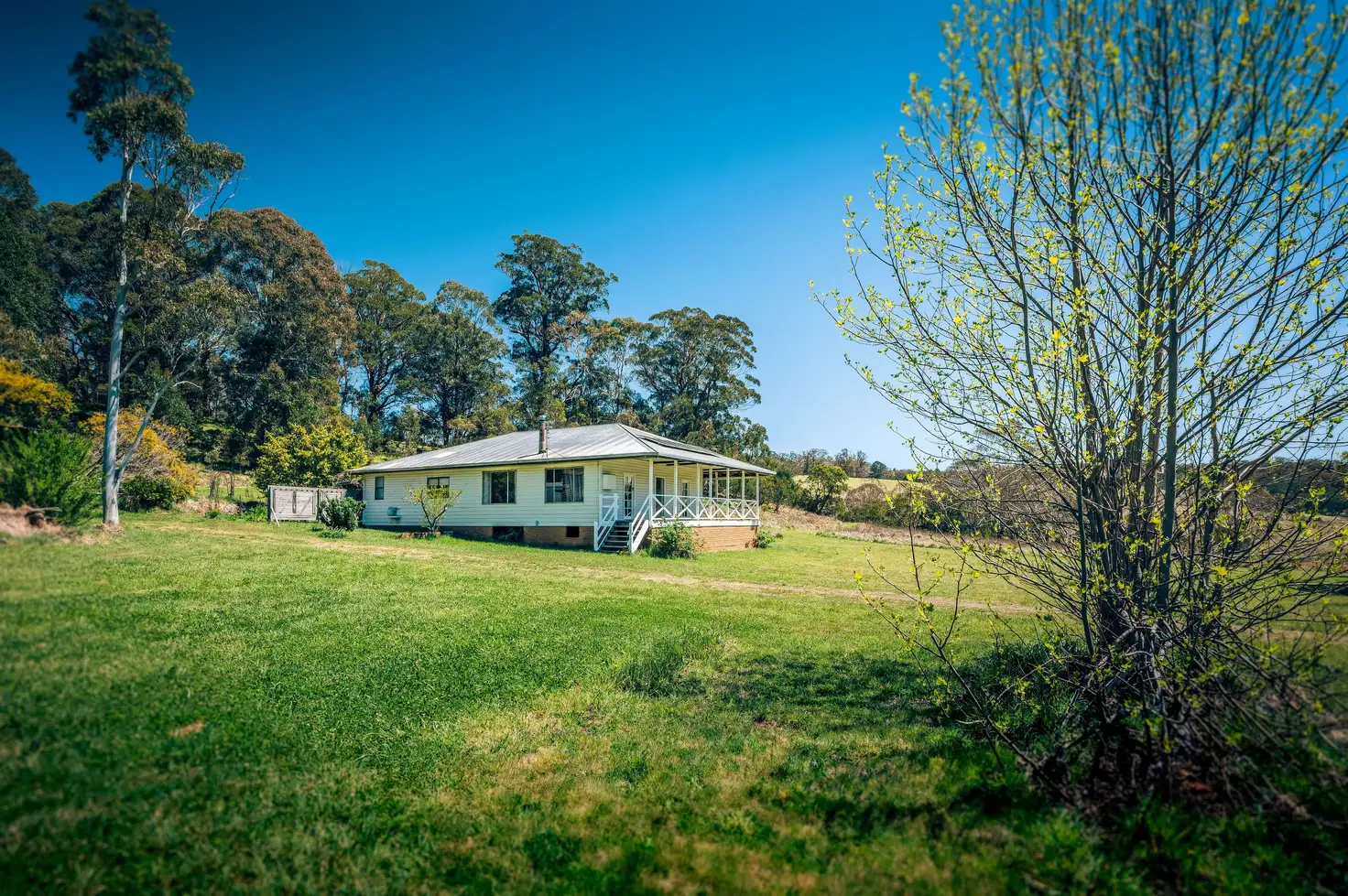 Main view of Homely rural property listing, 6423 Waterfall Way, Deer Vale, Dorrigo NSW 2453