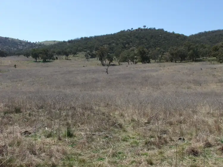 Third view of Homely rural property listing, 2368 The Bridle Track, Bruinbun NSW 2795