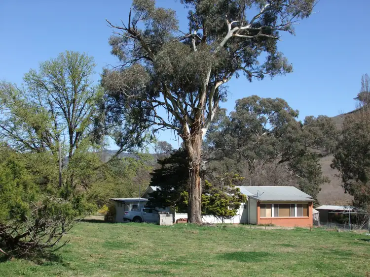 Fourth view of Homely rural property listing, 2368 The Bridle Track, Bruinbun NSW 2795