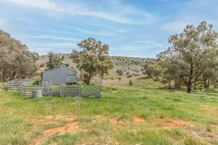 Sixth view of Homely rural property listing, 2368 The Bridle Track, Bruinbun NSW 2795