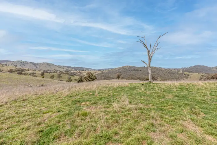 Seventh view of Homely rural property listing, 2368 The Bridle Track, Bruinbun NSW 2795