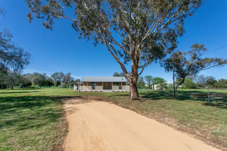 31 - 33 Carrington Street, Woodstock NSW 2793