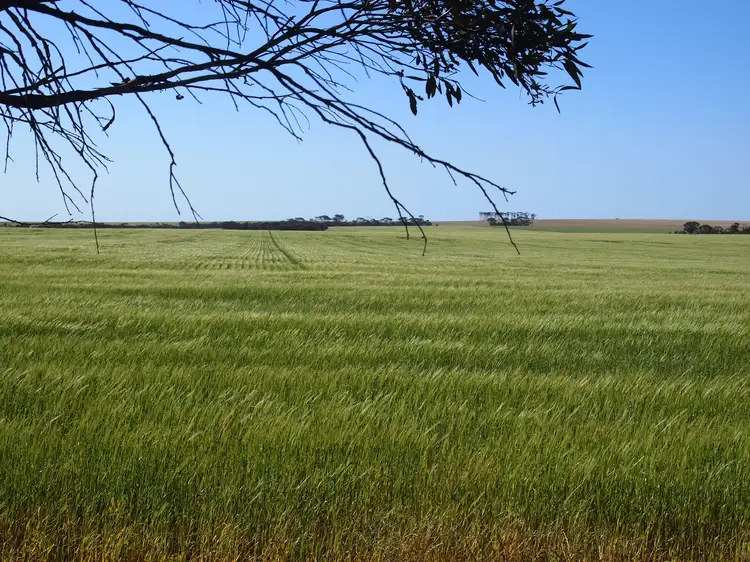Broadacres Pingrup-Lake Grace Road, Pingrup WA 6343