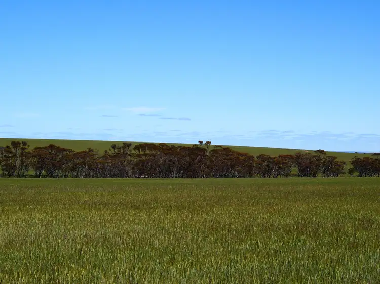 Fifth view of Homely rural property listing, Broadacres Pingrup-Lake Grace Road, Pingrup WA 6343