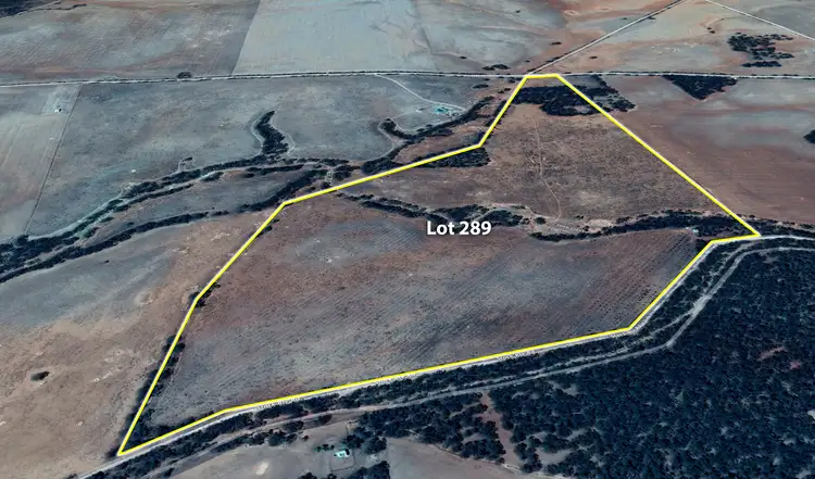 Main view of Homely land listing, 289 Stock Route Road, Sutherlands SA 5374