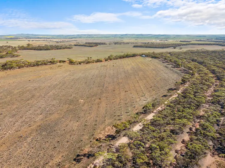 Fifth view of Homely land listing, 289 Stock Route Road, Sutherlands SA 5374