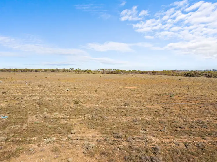 Seventh view of Homely land listing, 289 Stock Route Road, Sutherlands SA 5374