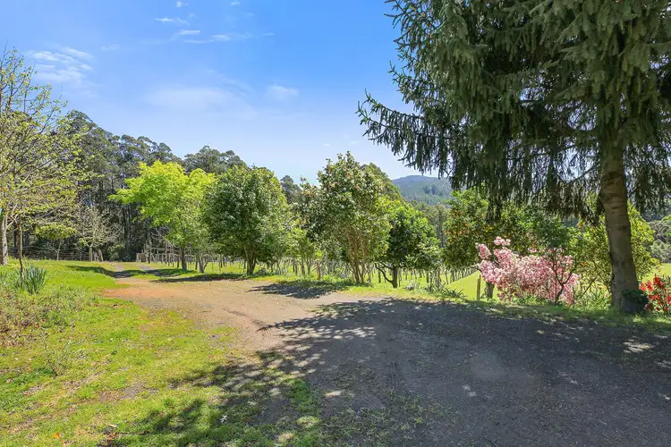 Second view of Homely rural property listing, 3424 Yarra Junction - Noojee Road, Piedmont VIC 3833
