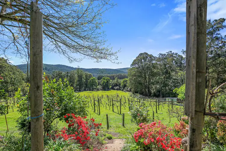 Fourth view of Homely rural property listing, 3424 Yarra Junction - Noojee Road, Piedmont VIC 3833