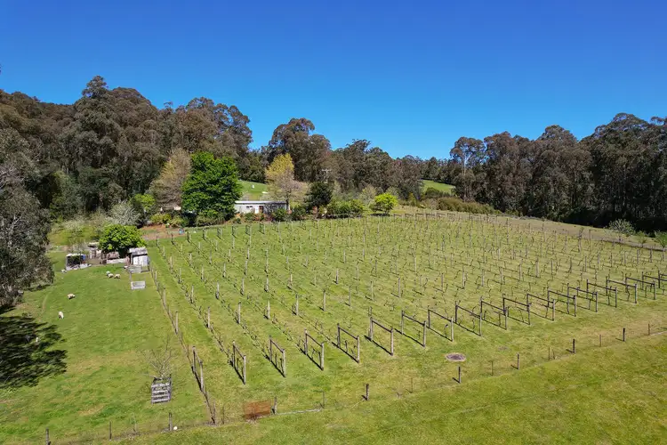 Fifth view of Homely rural property listing, 3424 Yarra Junction - Noojee Road, Piedmont VIC 3833