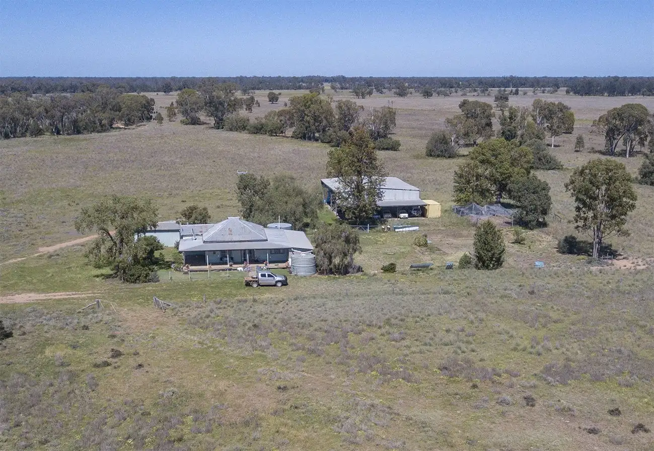 Main view of Homely rural property listing, 651 WANGMANS Road, Baradine NSW 2396