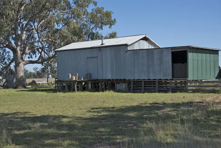 Fourth view of Homely rural property listing, 651 WANGMANS Road, Baradine NSW 2396