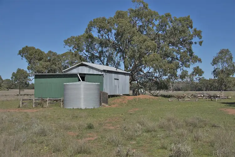 Fifth view of Homely rural property listing, 651 WANGMANS Road, Baradine NSW 2396