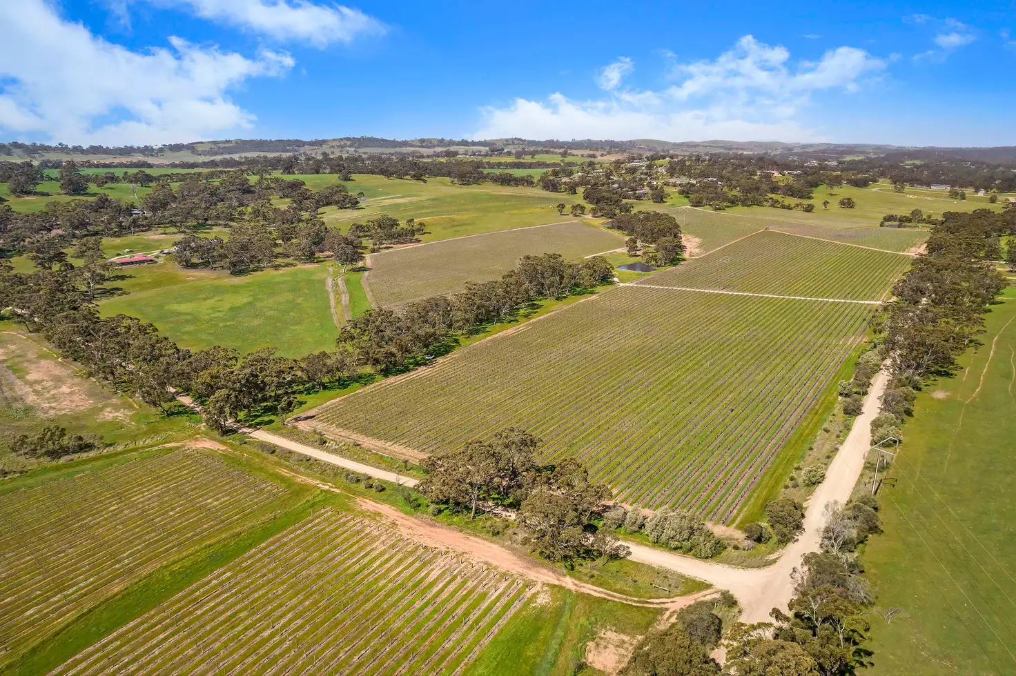 Main view of Homely rural property listing, 200 Square Mile Road, Clare SA 5453