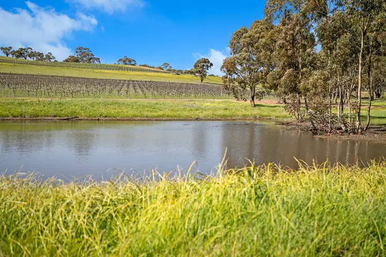 Second view of Homely rural property listing, 200 Square Mile Road, Clare SA 5453