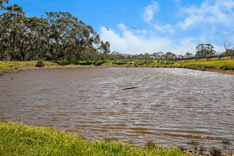 Fourth view of Homely rural property listing, 200 Square Mile Road, Clare SA 5453