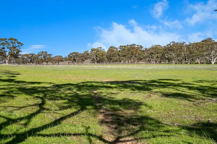Sixth view of Homely rural property listing, 200 Square Mile Road, Clare SA 5453