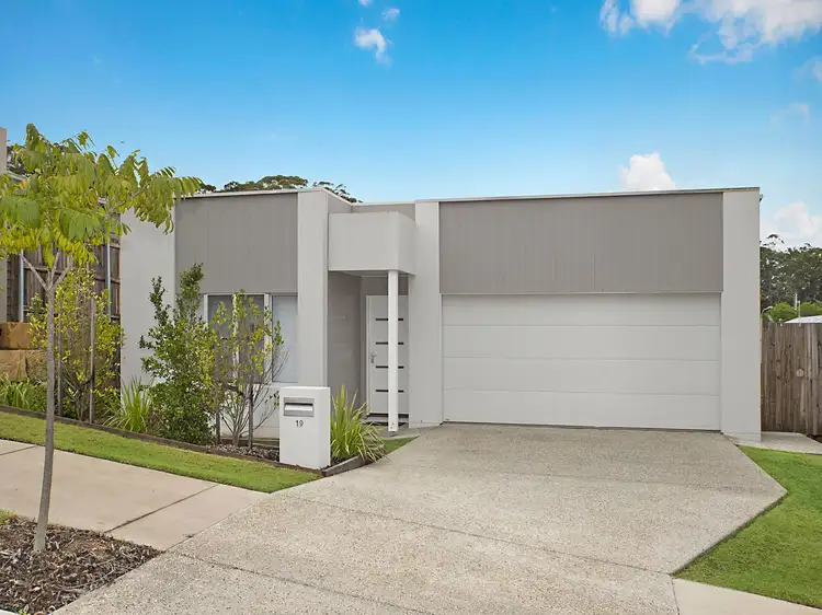 Main view of Homely house listing, 19 Pummelo Circuit, Palmwoods QLD 4555