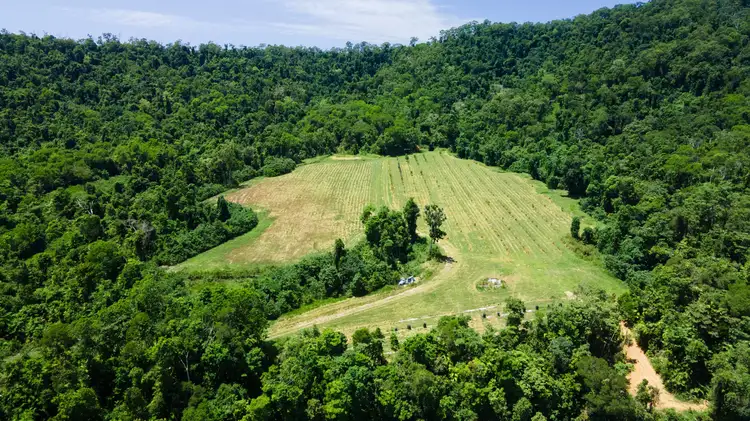 Main view of Homely rural property listing, Lot 394 Granadilla Road, Granadilla QLD 4855