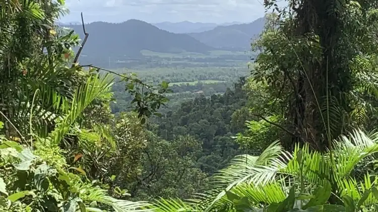 Second view of Homely rural property listing, Lot 394 Granadilla Road, Granadilla QLD 4855