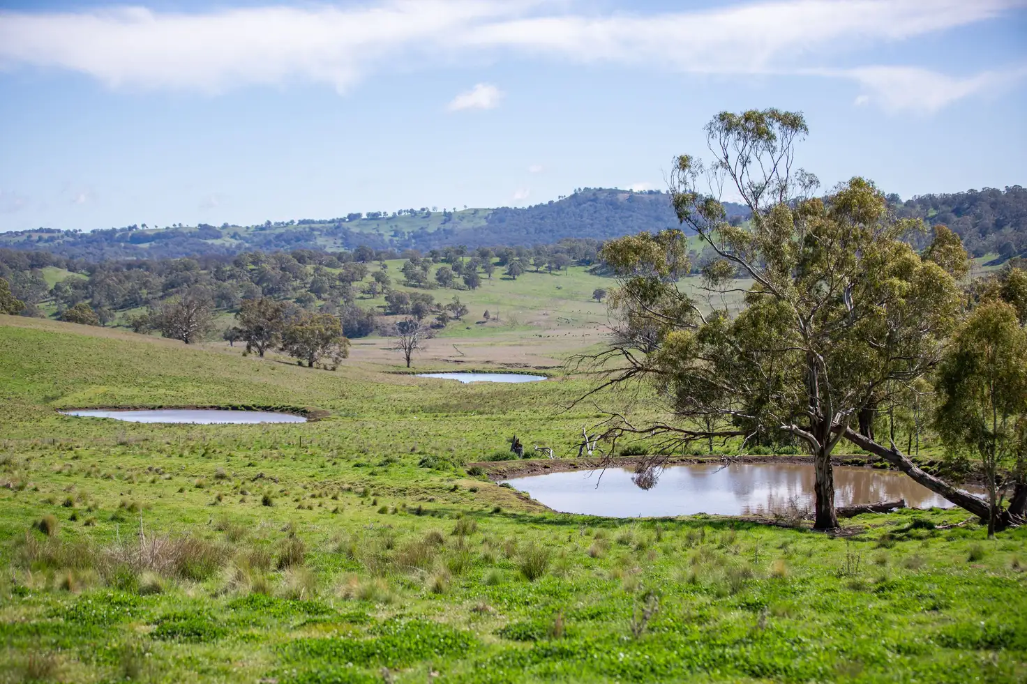 Main view of Homely rural property listing, 453 Moredun Road, Ben Lomond NSW 2365