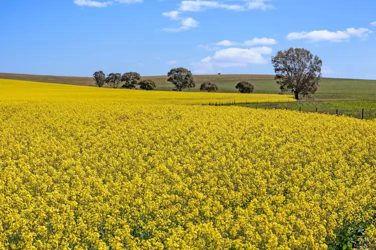 'Nankivells' - 132 Koonoona Road, Burra SA 5417