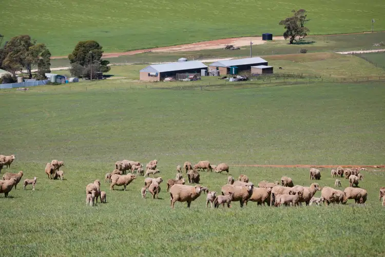 Second view of Homely rural property listing, 'Nankivells' - 132 Koonoona Road, Burra SA 5417