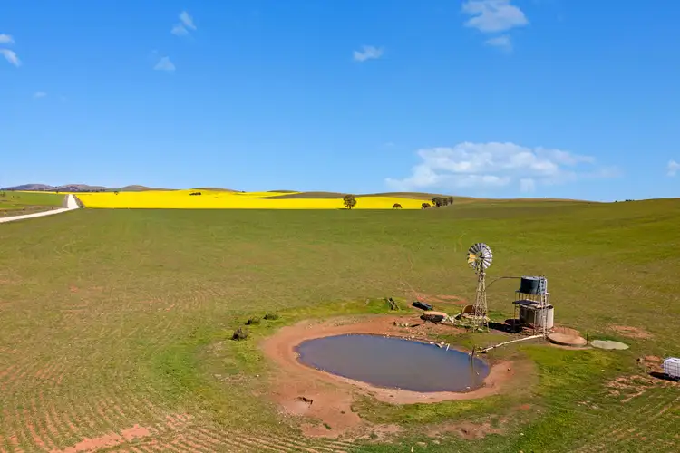 Third view of Homely rural property listing, 'Nankivells' - 132 Koonoona Road, Burra SA 5417