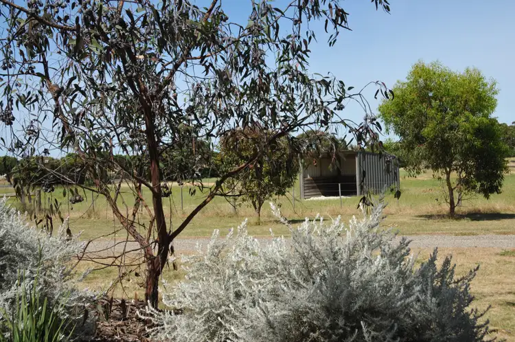 Sixth view of Homely rural property listing, 921-949 Portarlington Road, Curlewis VIC 3222